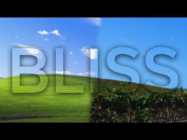 Bliss - The Story of Windows XP’s Famous Default Wallpaper