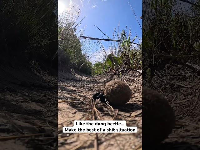 Always something to learn on the trail. #trailrunning #ultratrailrunning #outdoors #outdoorslife