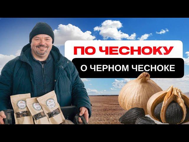 Переработка чеснока как бизнес: история успеха фермера из Татарстана