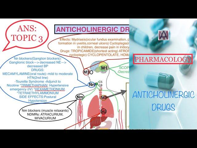 ANTICHOLINERGIC DRUGS//ANS//PHARMACOLOGY//whole topic around one diagram