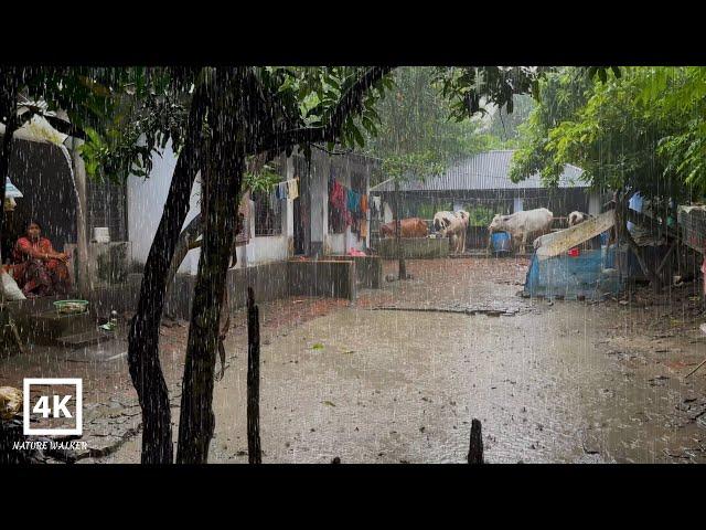 Walking in the super heavy rain - Village Life | Rainy Day walk in a beautiful village |Village Rain