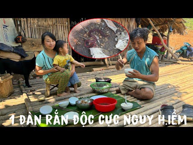 THĂM SƠN TRẠI SÍNH 1 CHÂN GẶP 1 ĐÀN RẮN ĐỘC HOÀ CÔNG CÔNG CHẠY BẠT MẠNG . PHENG PHENG VLOG