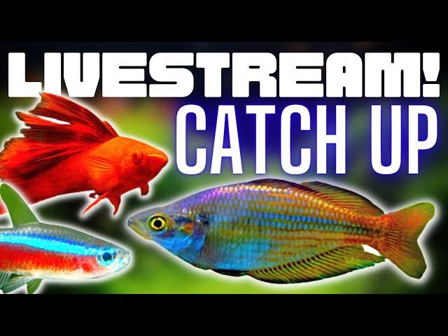 Lazarus the fish boy Live! Talking Fish + Catch Up!