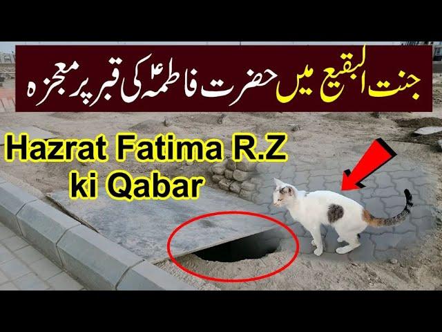 Jannat ul Baqi Main  Hazrat Bibi Fatima R.Z Ki Qabar Par mojza| Madina Mojza