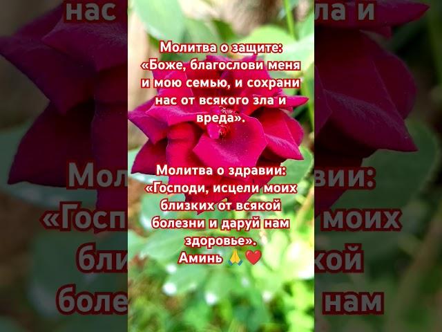 Молитва о защите:«Боже, благослови меня и мою семью #евангелиедня #милост #псалмы