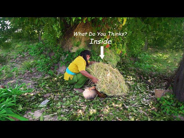 Survival Girl Living Alone Building A Lovely Tree House with Hidden Underground House and Mini Pool