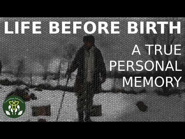 Life Before Birth - A Personal Memory (similar to NDE)