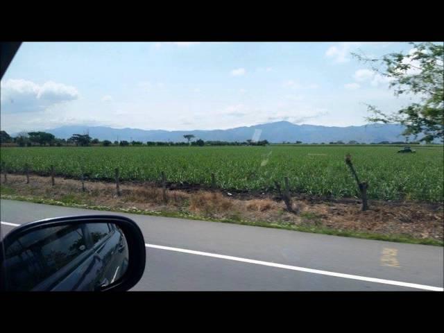 MI VALLE DEL CAUCA  /  GRUPO NICHE