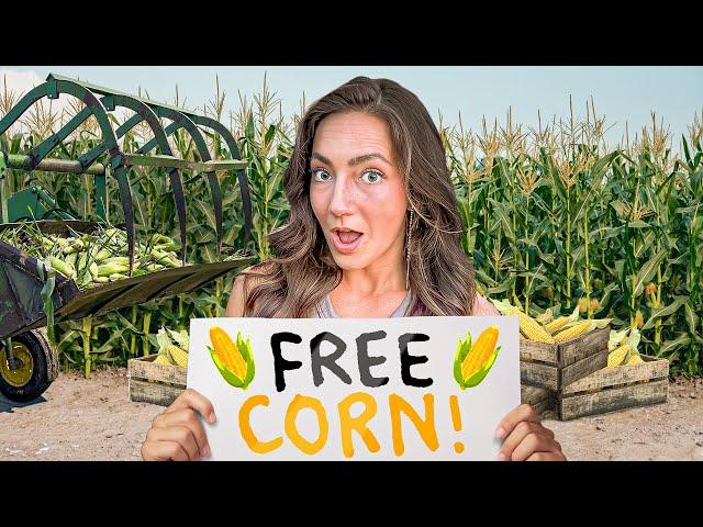 I Gave Away All My Corn For Free