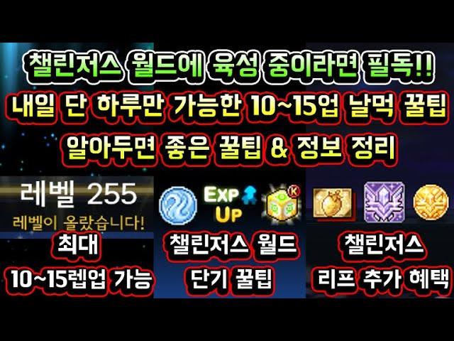 [메이플스토리 맑음] (조기 종료 / 고정 댓글 확인) 챌린저스 월드 육성 중이라면 필독!! 내일 단 하루만 가능한 10~15레벨업 날먹 꿀팁 / 알아두면 좋은 꿀팁 & 정보 정리