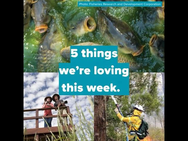 Five things we're loving this week #SouthAustralia