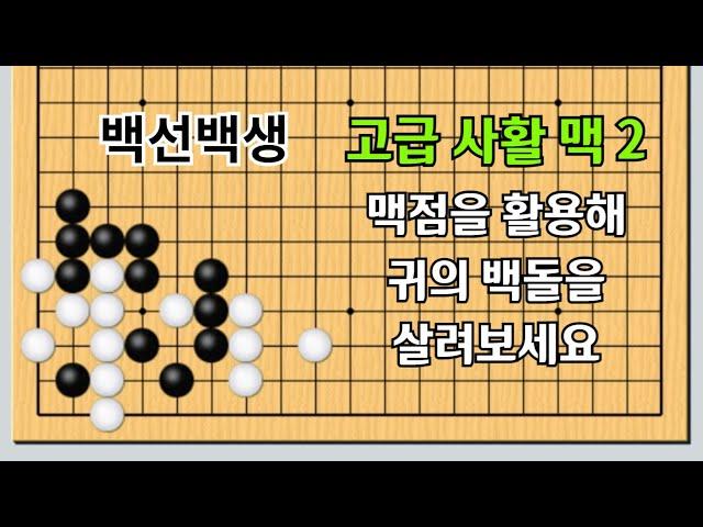 고급 2 #바둑사활 맥점, 넘어가는 맥 패가 나면 실패