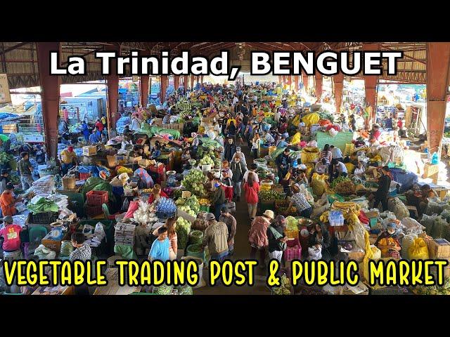 LA TRINIDAD BENGUET - PALENGKE TOUR | Morning Visit to the BIGGEST Vegetable Market + Public Market