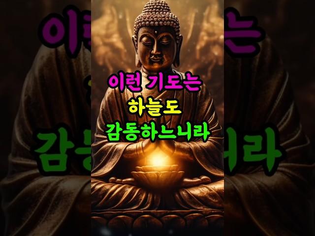 #부처님말씀 #자기수행#부처님가르침 #기도의공덕 #인생조언 #불교오디오북 #불교말씀 #불교지혜