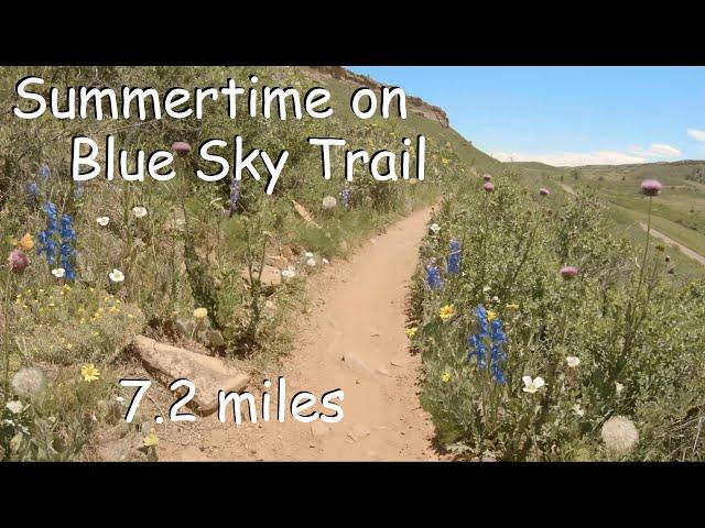 Virtual Treadmill Run | Summertime on Blue Sky Trail | Fort Collins, Colorado