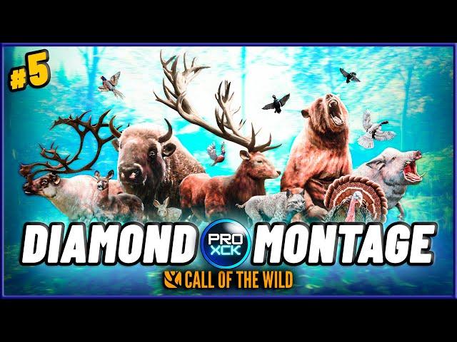 Diamond & Rare Montage #5 | 40+ trophies | theHunter Call of the Wild