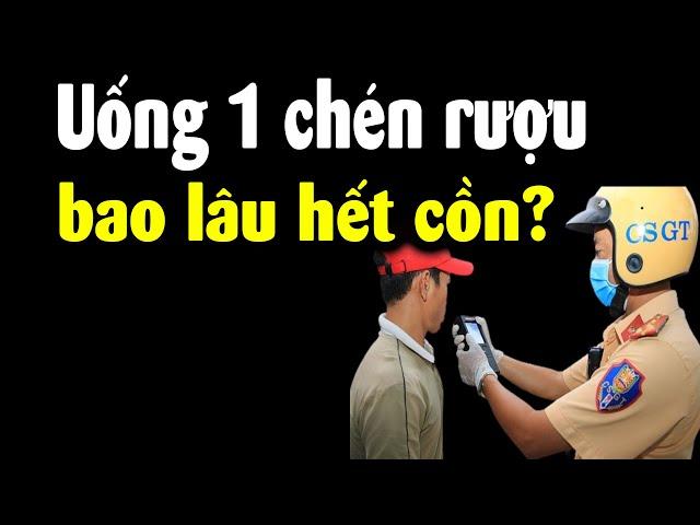 Cách tính thời gian giải rượu để không bị CSGT phổi phạt