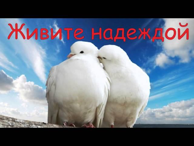 Годовщина свадьбы родителей 39 ЛЕТ
