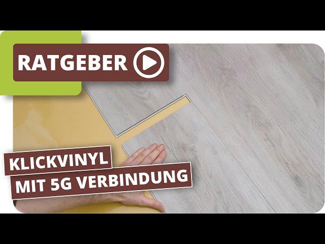 planeo Vinylboden mit 5G  Klickverbindung