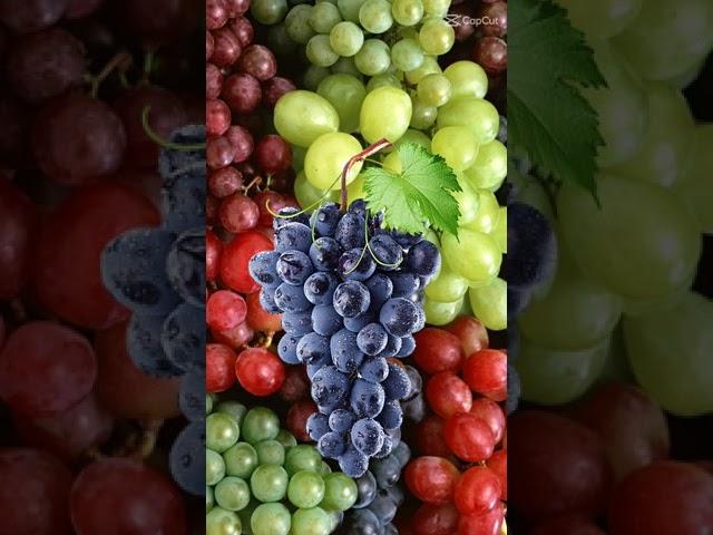 #Assorted #Amazing #yummygrapes #trend #transition #short