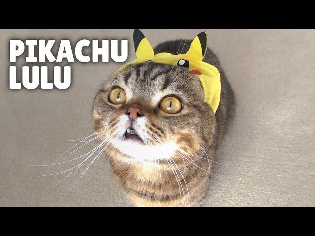 Pikachu LuLu! | Kittisaurus