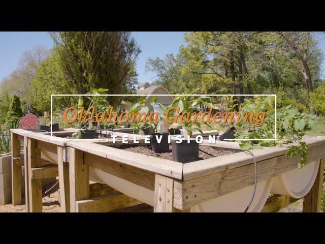 Planting Vegetables on the Best of Oklahoma Gardening February 8, 2025