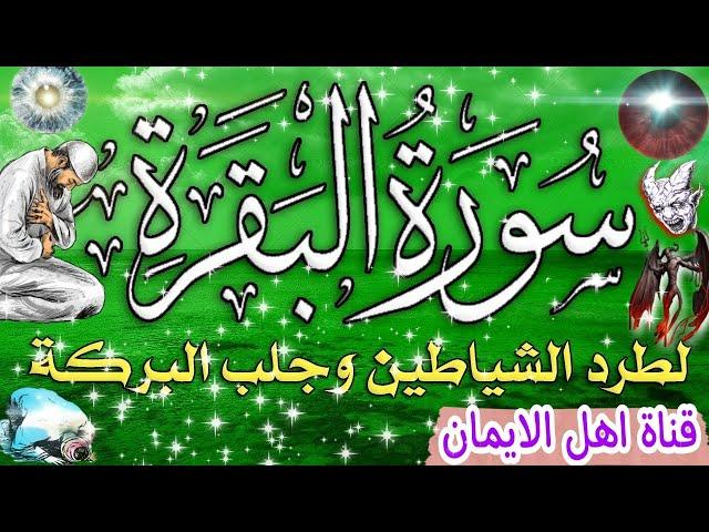 سورة البقرة كاملة مكررة لطرد الشياطين والجن والحسد والعين السحر والمس وجلب البركهsurat albaqara