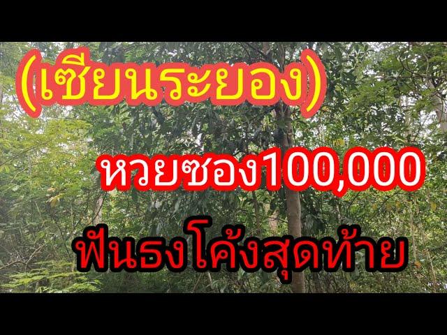 ผู้เฒ่า..พารวย,, Channel กำลังถ่ายทอดสด! พ่อดาบเซียนระยองหวยซอง 100,000 ฟันธงโค้งสุดท้าย