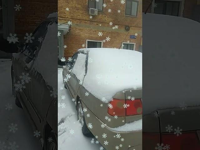 КАЖДЫЙ ГОД ОДНО И ТО ЖЕ