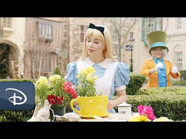 An Alice In Wonderland Zany Gardening Tutorial | Walt Disney World