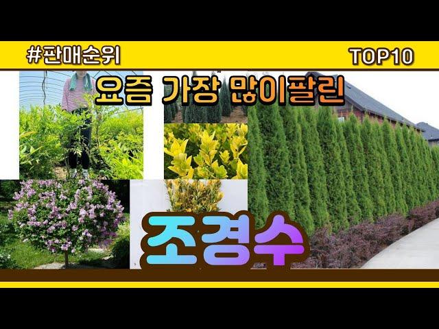 조경수 추천 판매순위 Top10 || 가격 평점 후기 비교