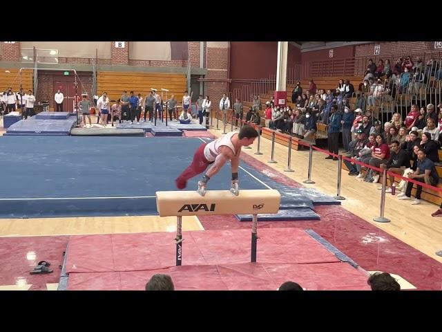 Brody Malone Pommel Horse - Air Force/Cal 220305