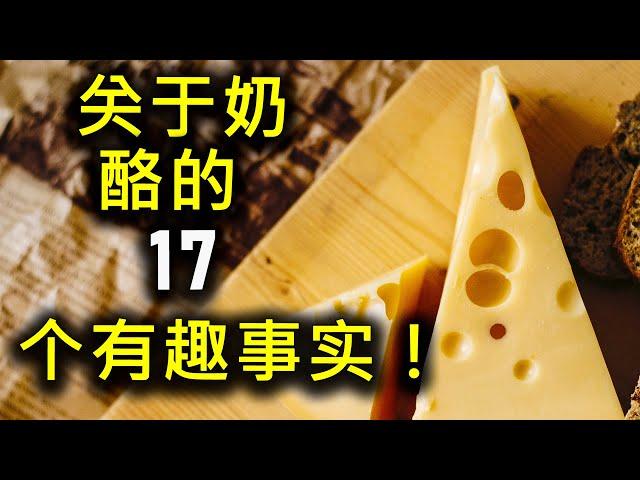 关于奶酪的 17 个有趣事实！