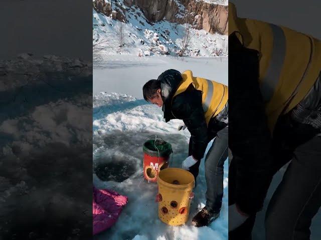 東北四哥戶外捕魚：冰天雪地 #戶外抓魚 #捕魚 #shorts