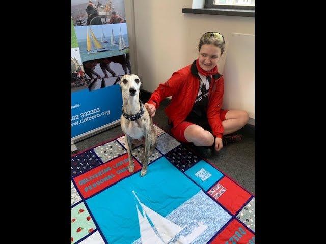 A Day with Louie the whippet, Therapy Dog at work at CatZero