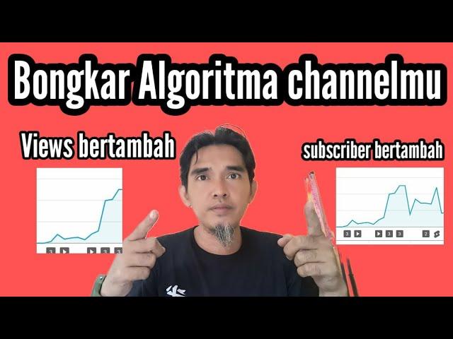 cara mengetahui sistem algoritma YouTube| untuk youtuber pemula