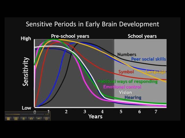 The Importance of Early Child Development