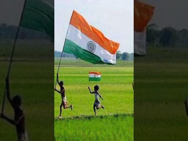 tiranga jhanda