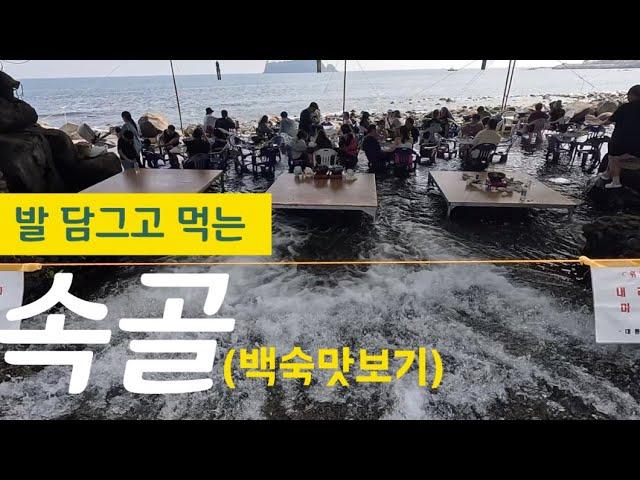 제주도민들의 피서지 10년째 핫플 “속골유원지” 발담그고 백숙 먹어보기 (+원앤온리)