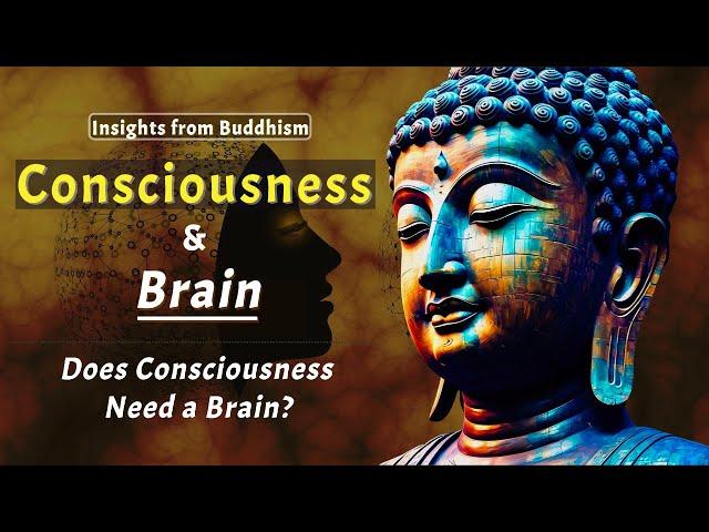 Does Consciousness Need a Brain? Insights from Buddhism