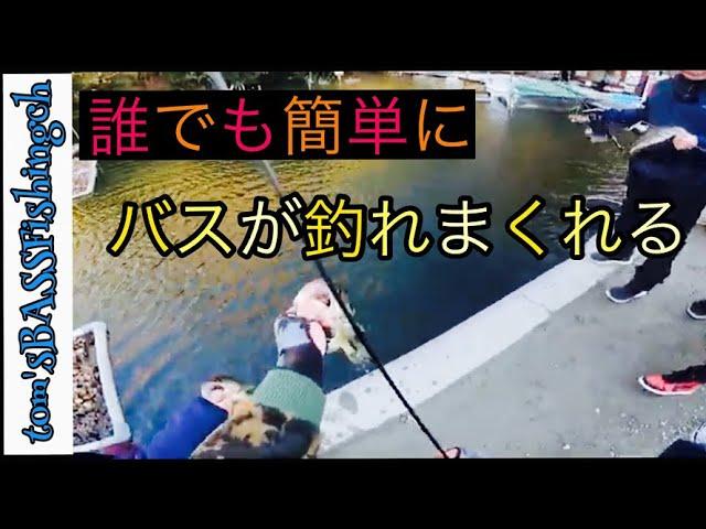 【MAV】誰でも釣れるブラックバス釣り！