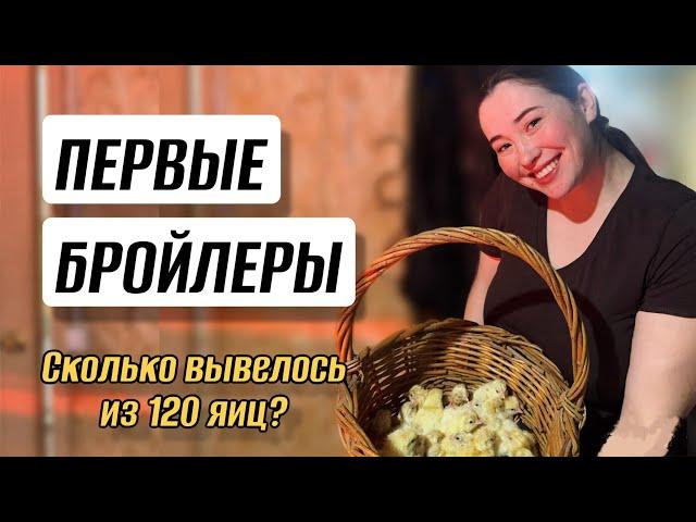 Закупили 5 тонн комбикормов, достроили бройлерник, провели юбилей - события 1,5 недель!