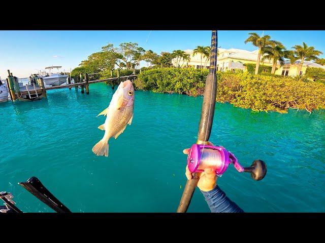 Is This BAIT Considered CHEATING? Dock Fishing For Big Snook!