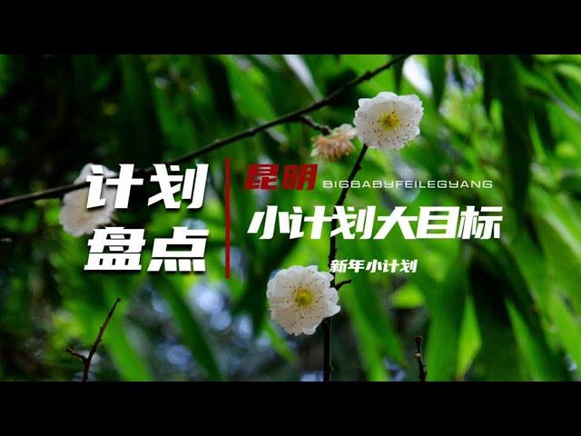 废腿|月度大盘点及新年小计划|开启2023