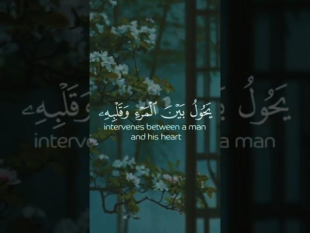 Soothing Quran Recitation 