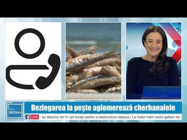 !!DOTTO NEWS - 22 Noiembrie   2024  | jurnalul orei 19:30!!