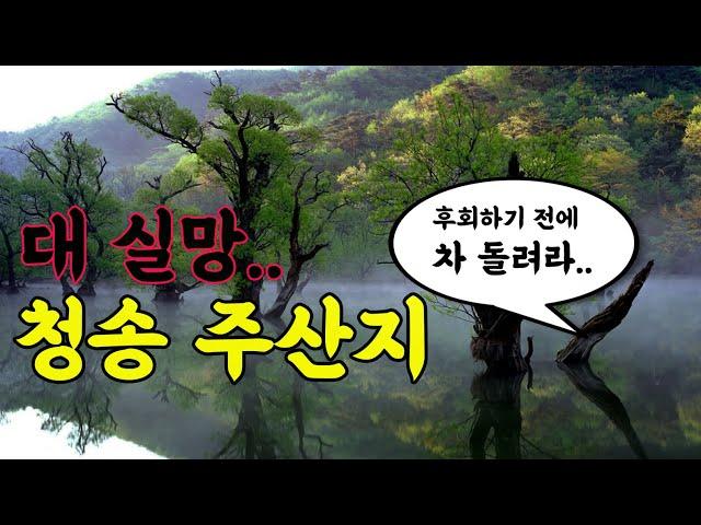 내가 선정한 과대포장된 여행지 1위. 청송 주산지 [두 남자의 우울한 청송 글램핑 주산지 여행기]