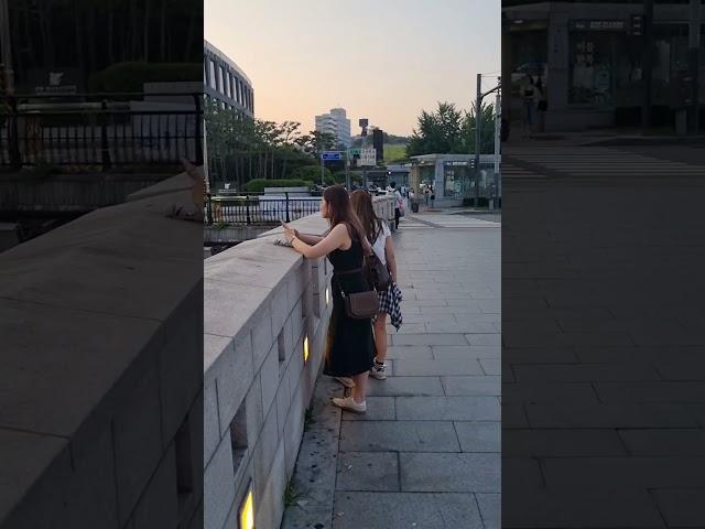 #홀로가는길  #남하용 #추억의가요#박용강