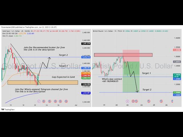 Live XAUUSD And NZDUSD 1H Chart -Supply & Demand Zone 19 June 2025