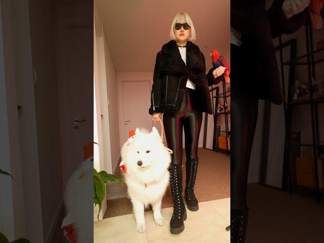 The reason why raising a Samoyed isn't that cool